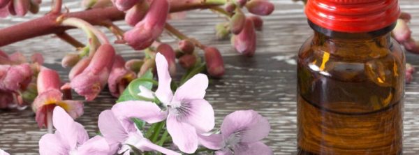 ConectaMente - esencias flores bach 3 1100x407 1