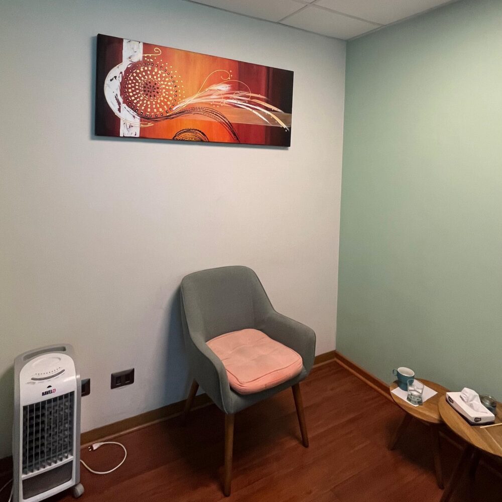 ConectaMente - Psicólogo Phillippe Perrot Tabilo 14 IMG-20251010-WA0156